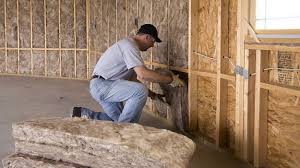 Best Spray Foam Insulation  in Anoka, MN