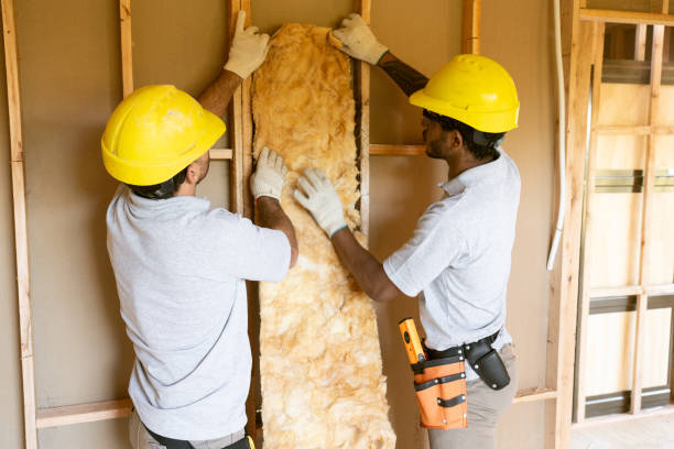 Professional Insulation Services in Anoka, MN